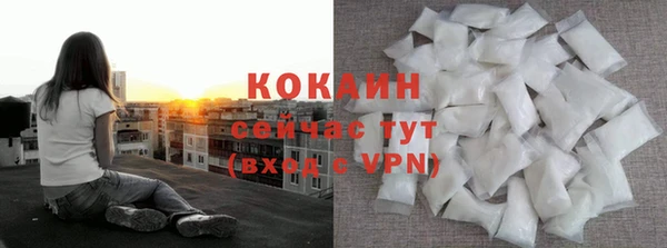 стаф Белокуриха