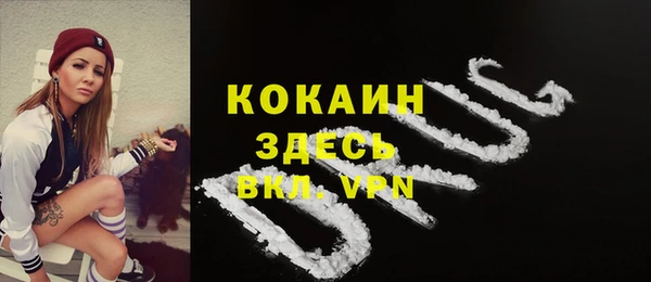 стаф Белокуриха