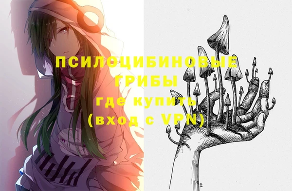 стаф Белокуриха