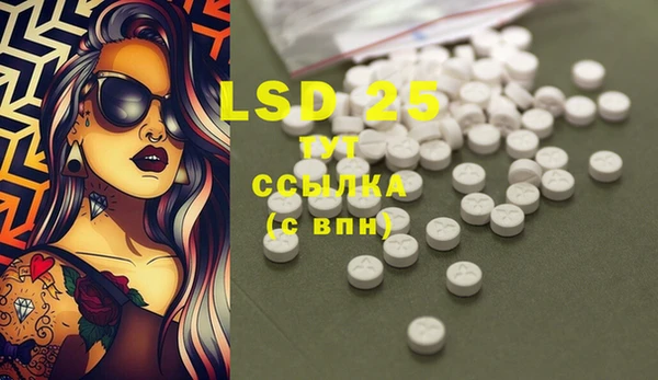 стаф Белокуриха