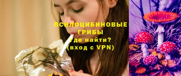 стаф Белокуриха