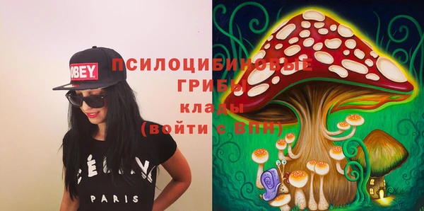 стаф Белокуриха