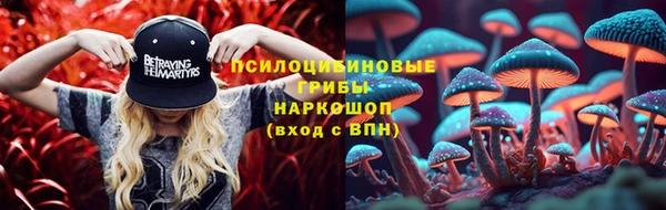 стаф Белокуриха