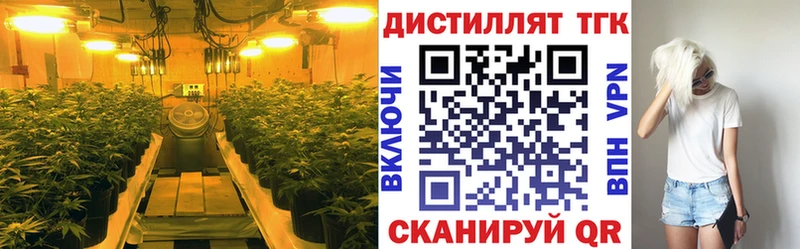 ТГК THC oil  Курильск 