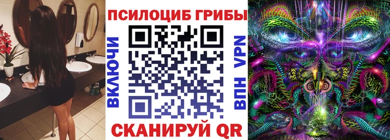Псилоцибиновые грибы Psilocybe  Курильск 